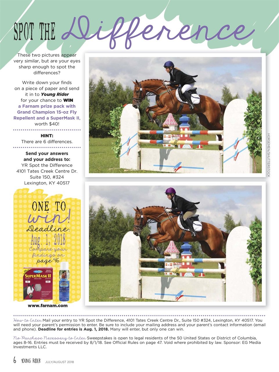 Young Rider Magazine Preview Pages
