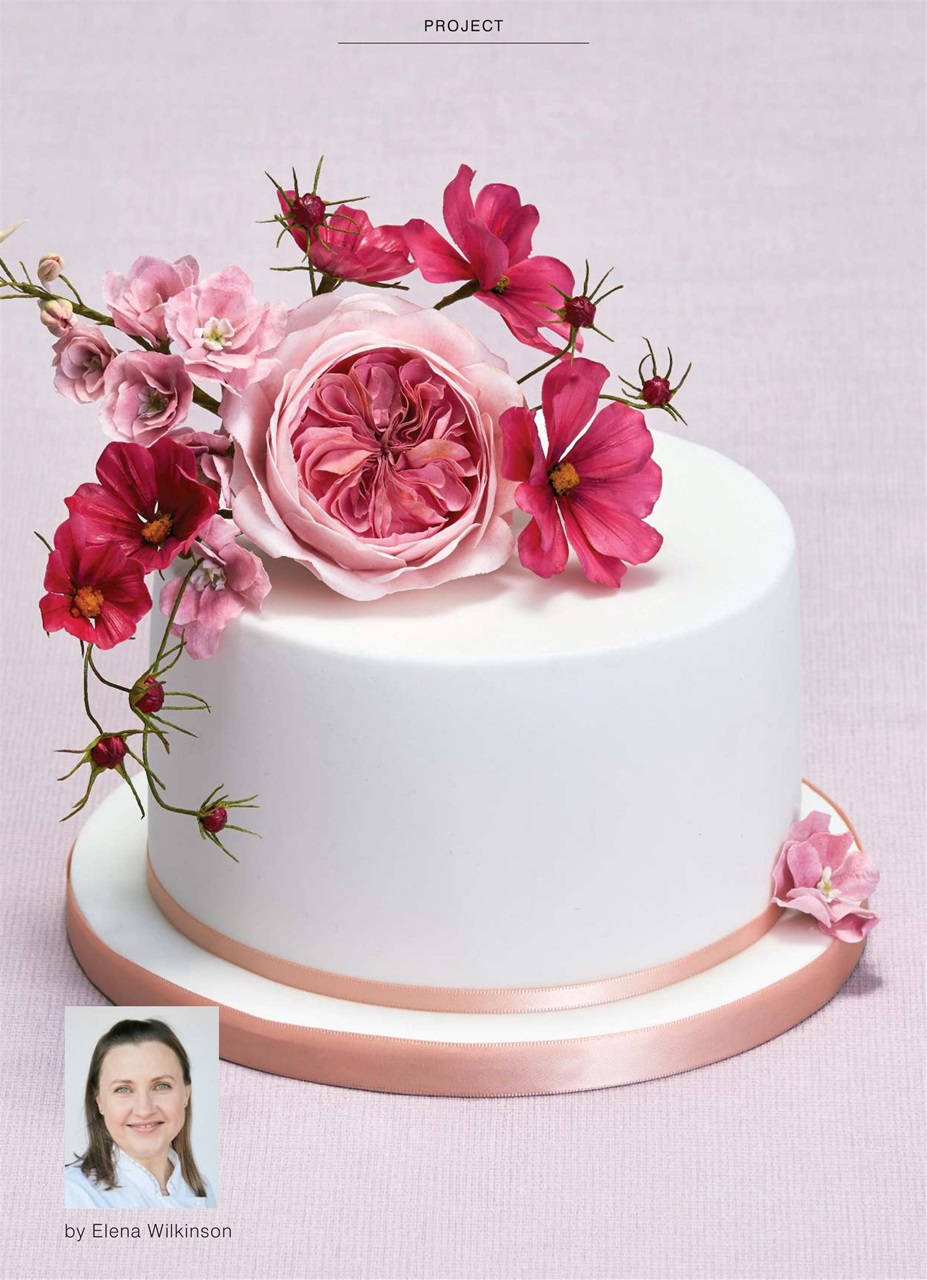 Cakes & Sugarcraft Preview Pages