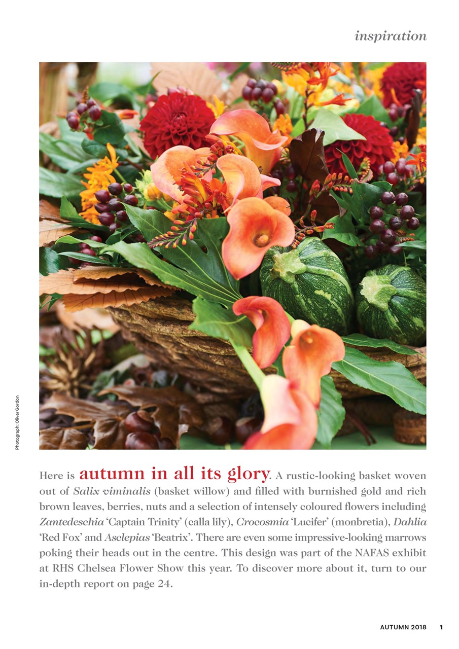 The Flower Arranger Preview Pages