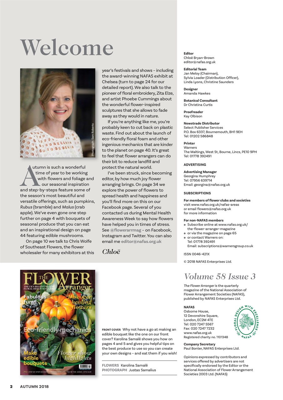 The Flower Arranger Preview Pages