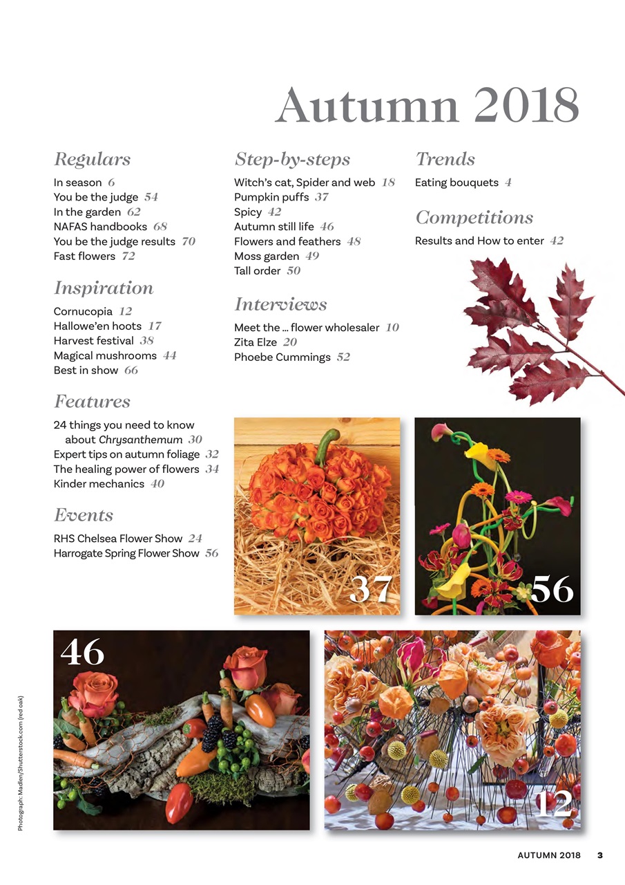 The Flower Arranger Preview Pages