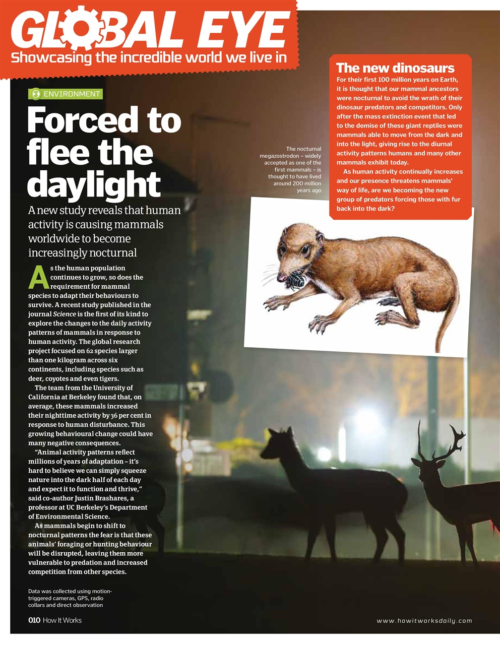 How It Works Preview Pages