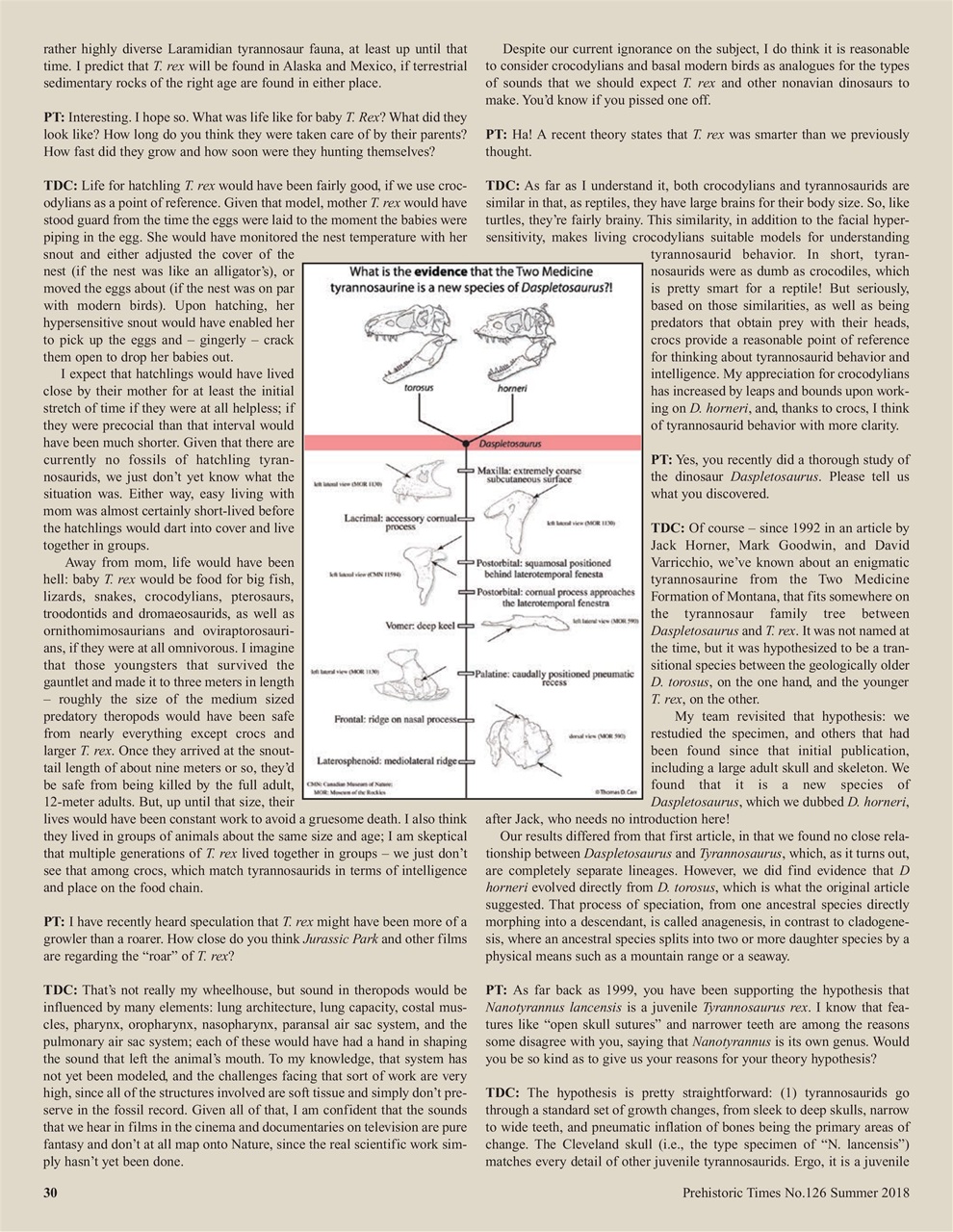 Prehistoric Times Preview Pages