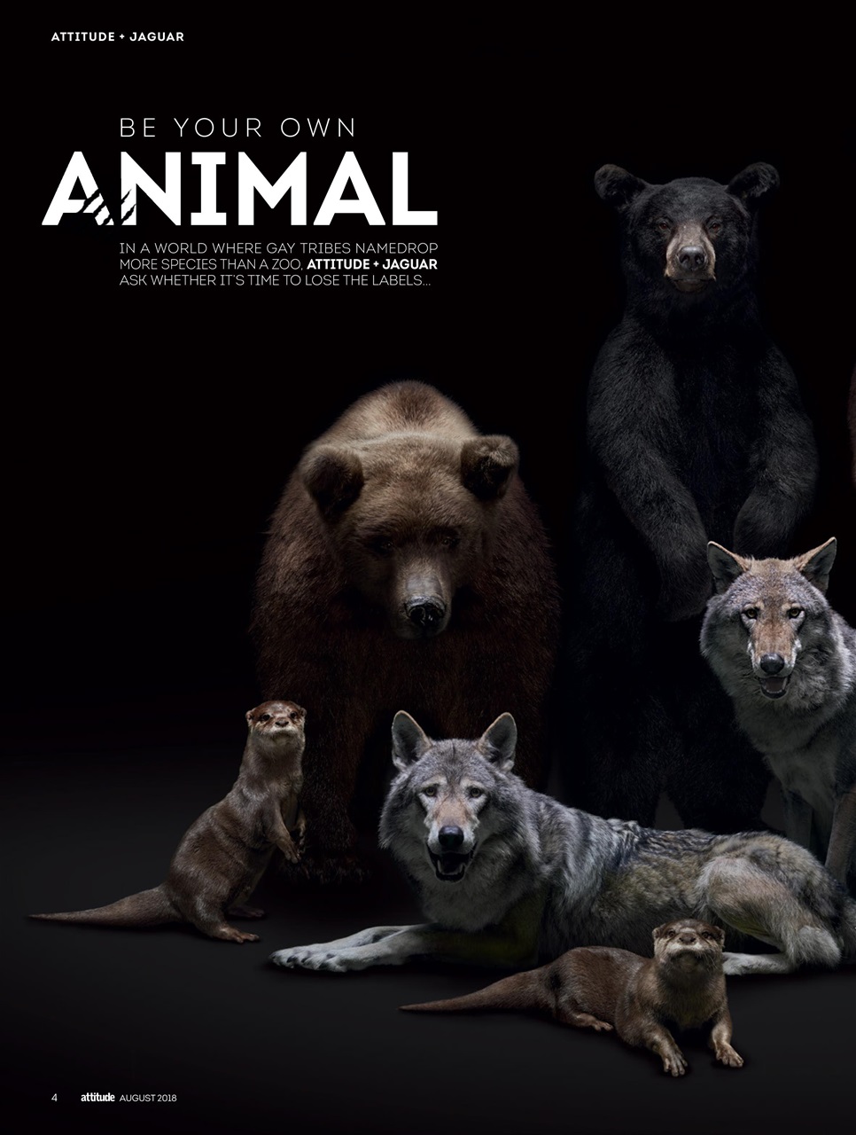 Attitude Preview Pages