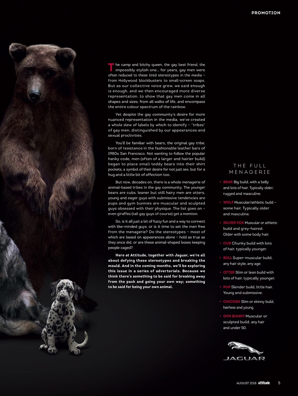 Attitude Preview Pages