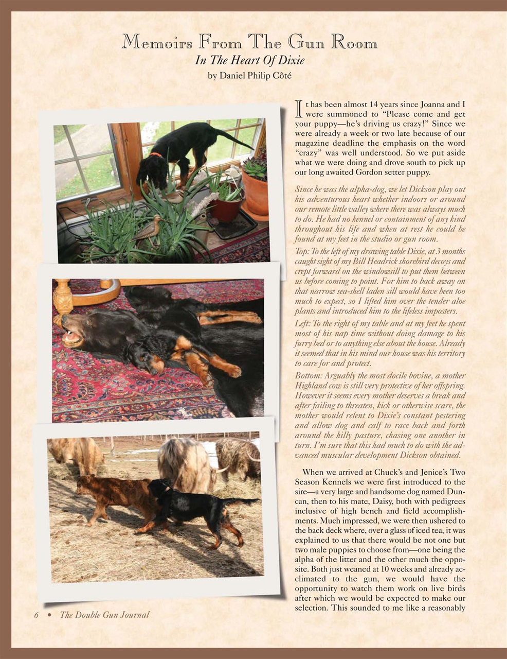 Double Gun Journal Preview Pages