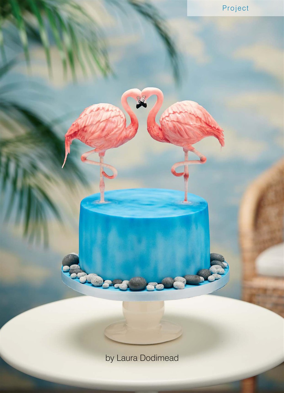 Cakes & Sugarcraft Preview Pages