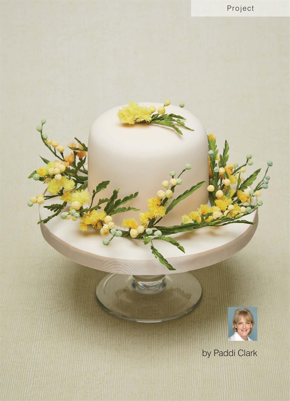 Cakes & Sugarcraft Preview Pages
