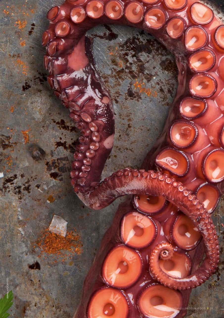 National Geographic Traveller UK Preview Pages