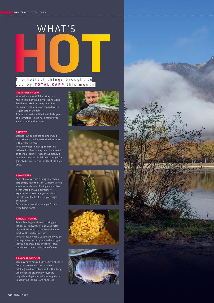 Total Carp Preview Pages