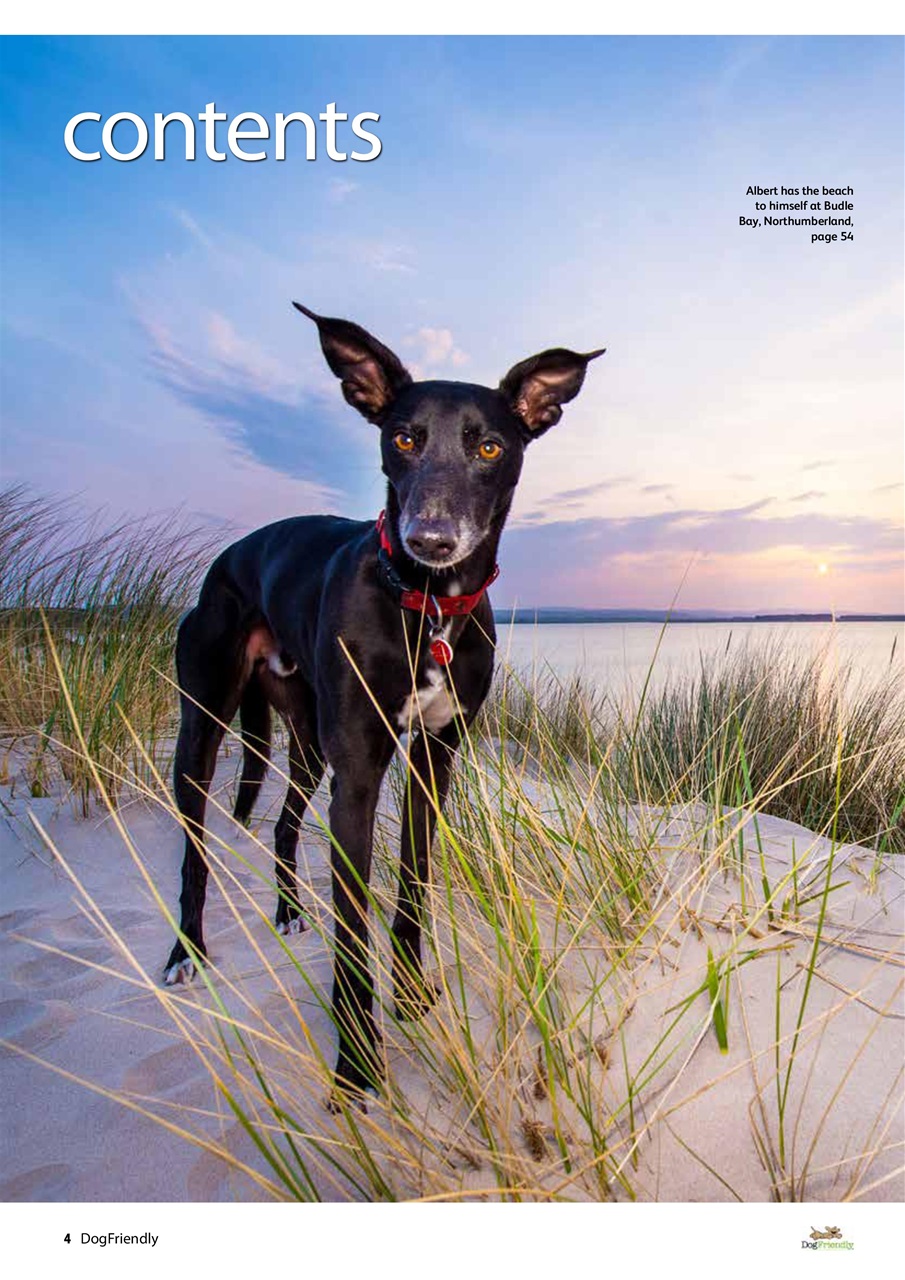 Dog Friendly Preview Pages