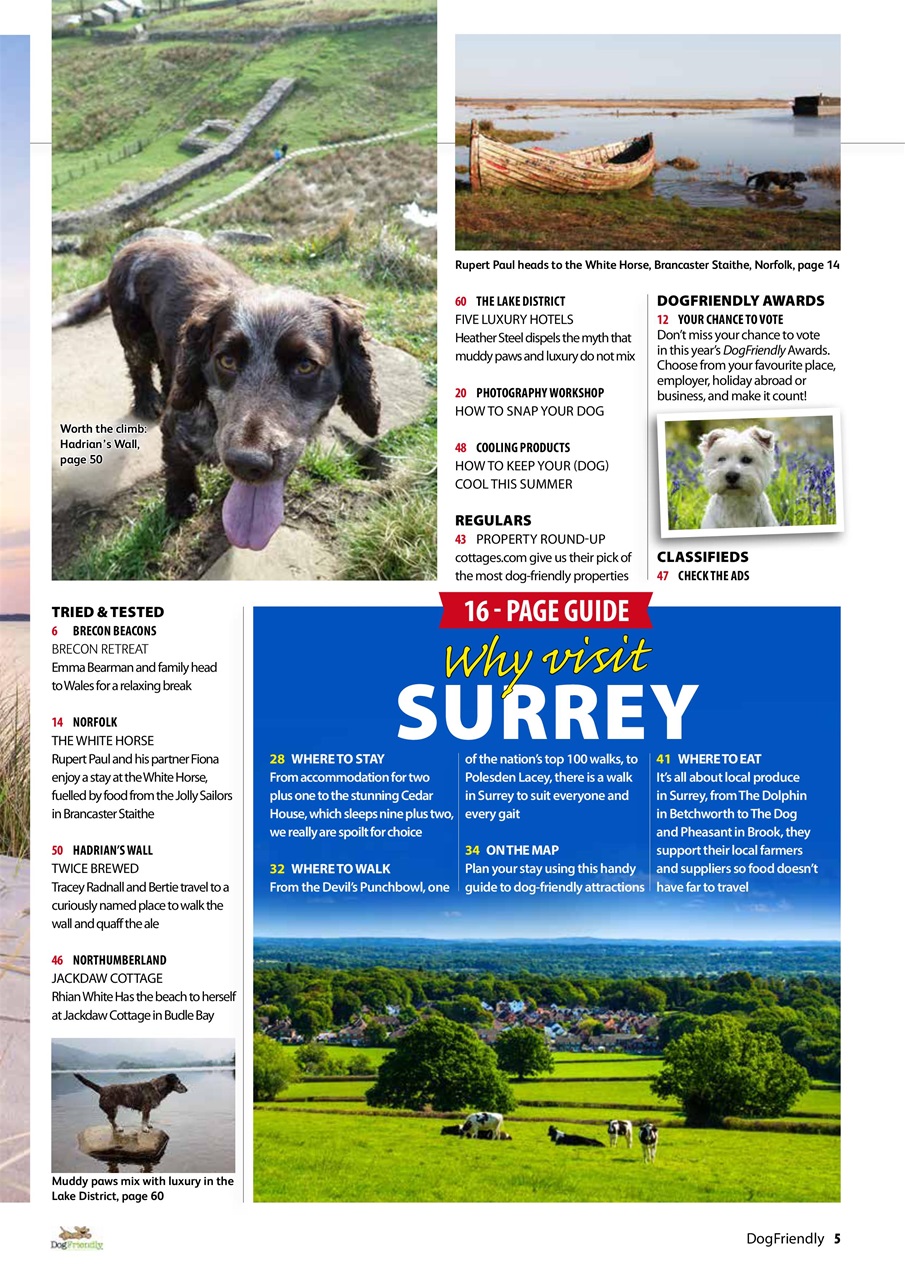 Dog Friendly Preview Pages