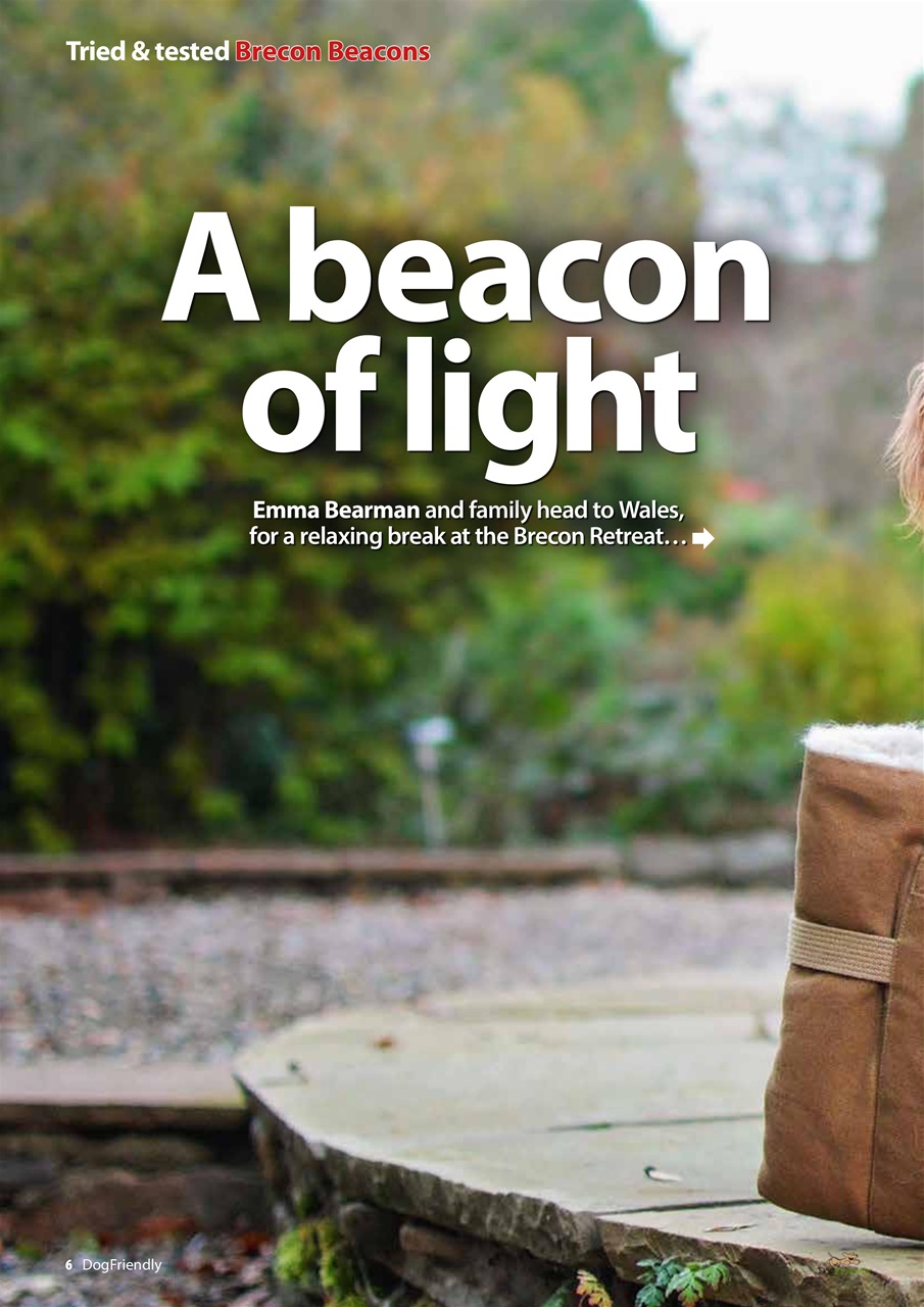 Dog Friendly Preview Pages