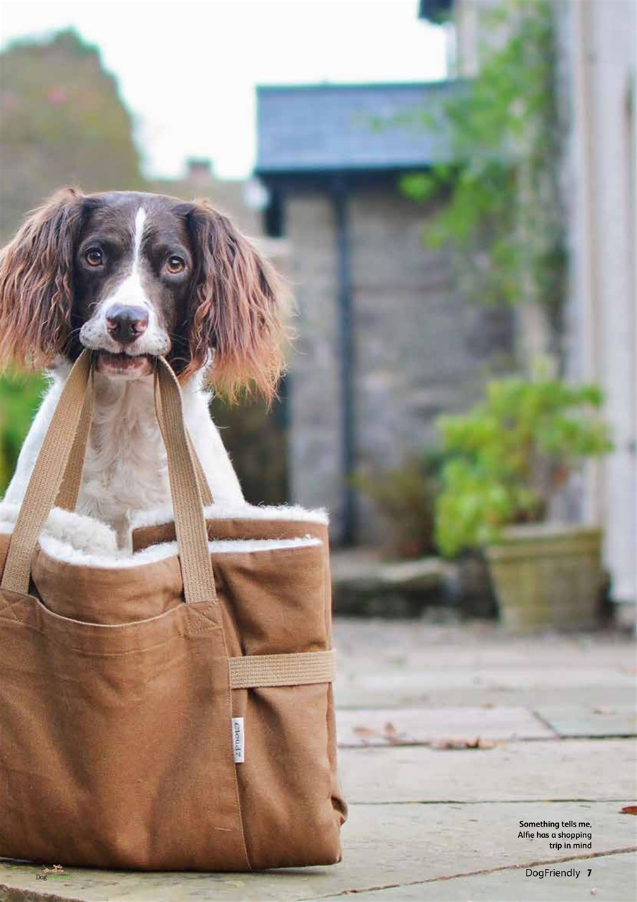 Dog Friendly Preview Pages