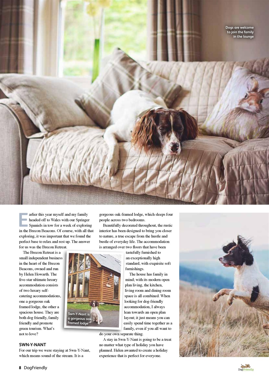 Dog Friendly Preview Pages