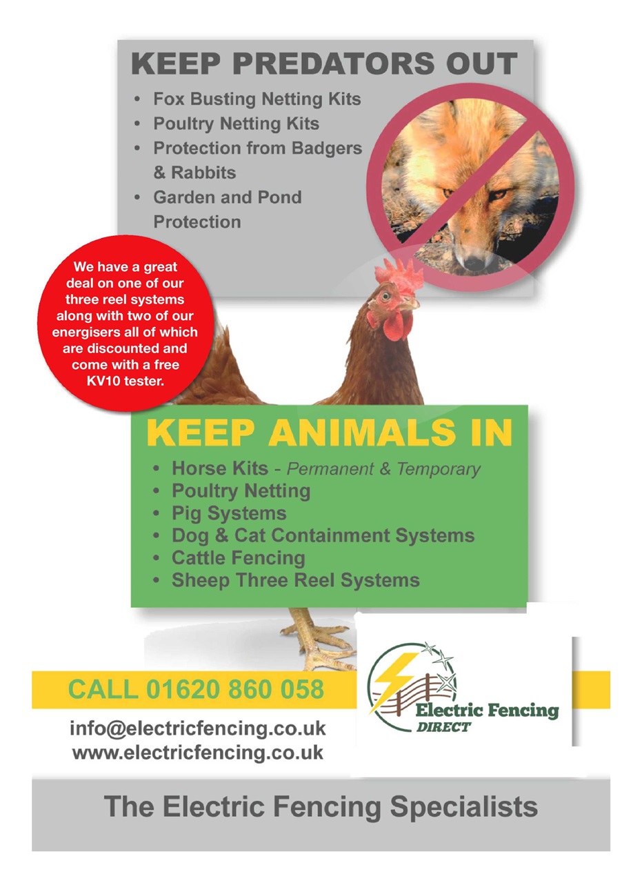 The Smallholder Preview Pages