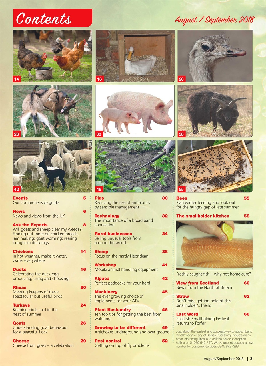 The Smallholder Preview Pages