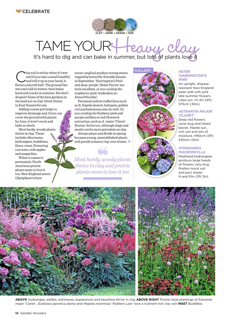 Garden Answers Preview Pages