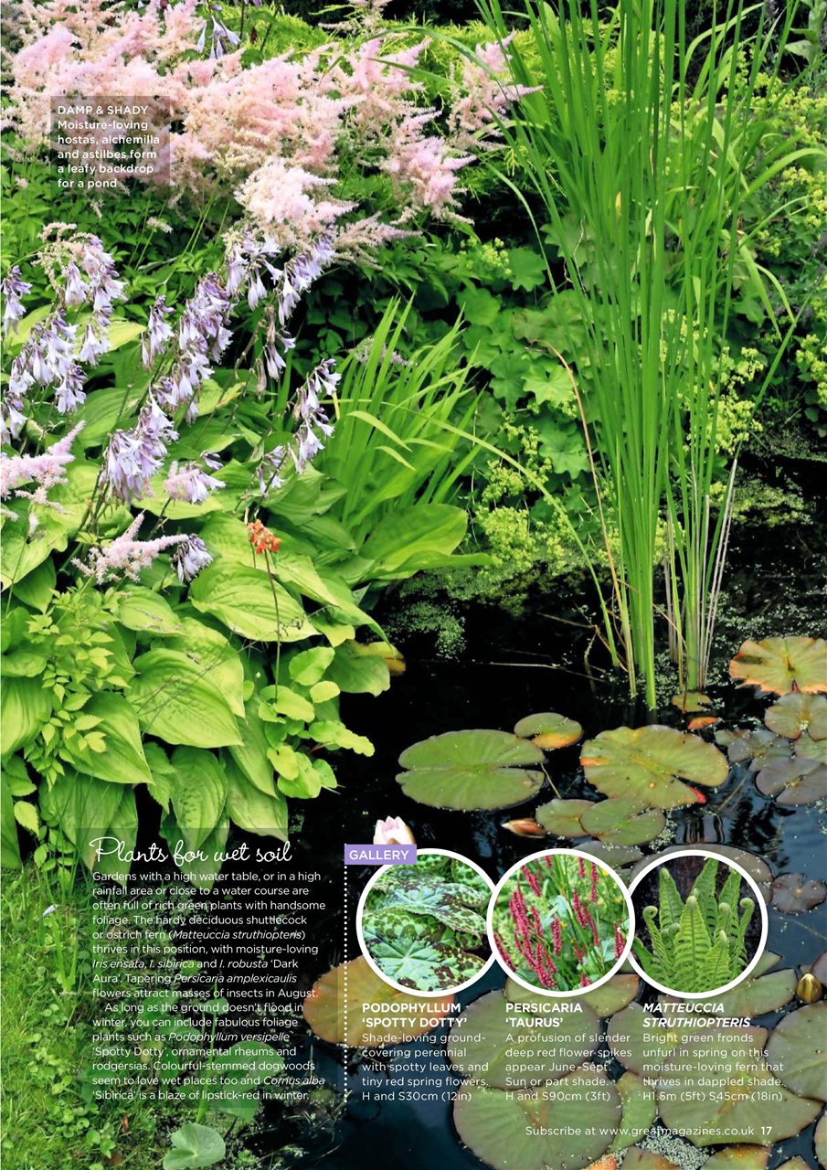 Garden Answers Preview Pages
