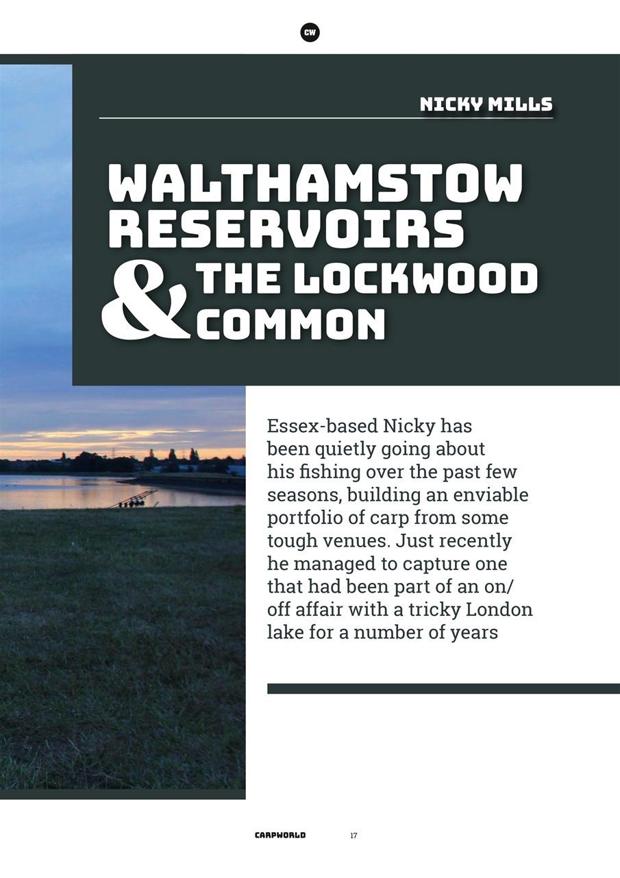 Carpworld Preview Pages