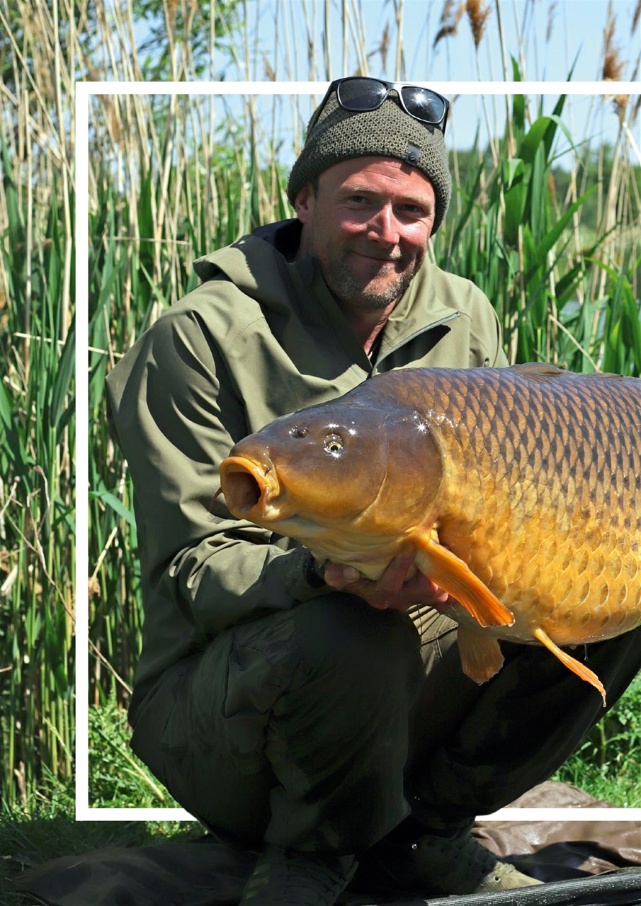 Carpworld Preview Pages