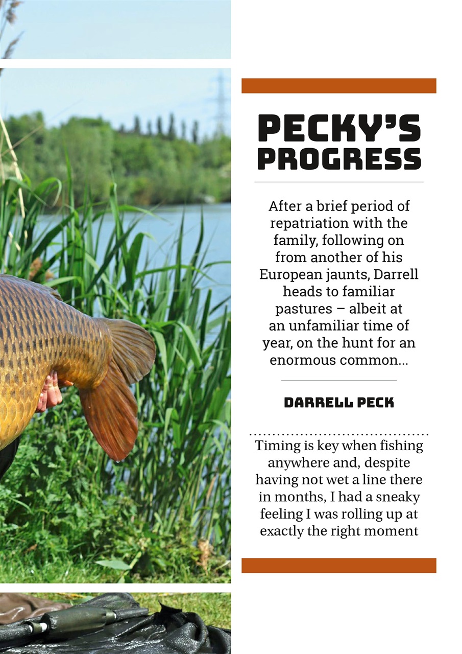 Carpworld Preview Pages