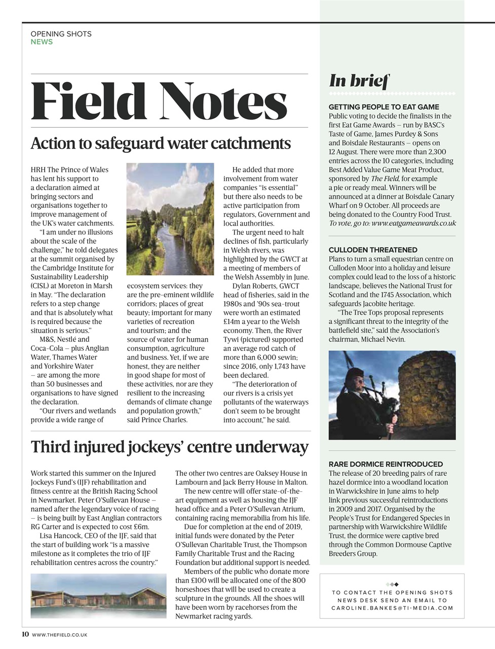 The Field Preview Pages