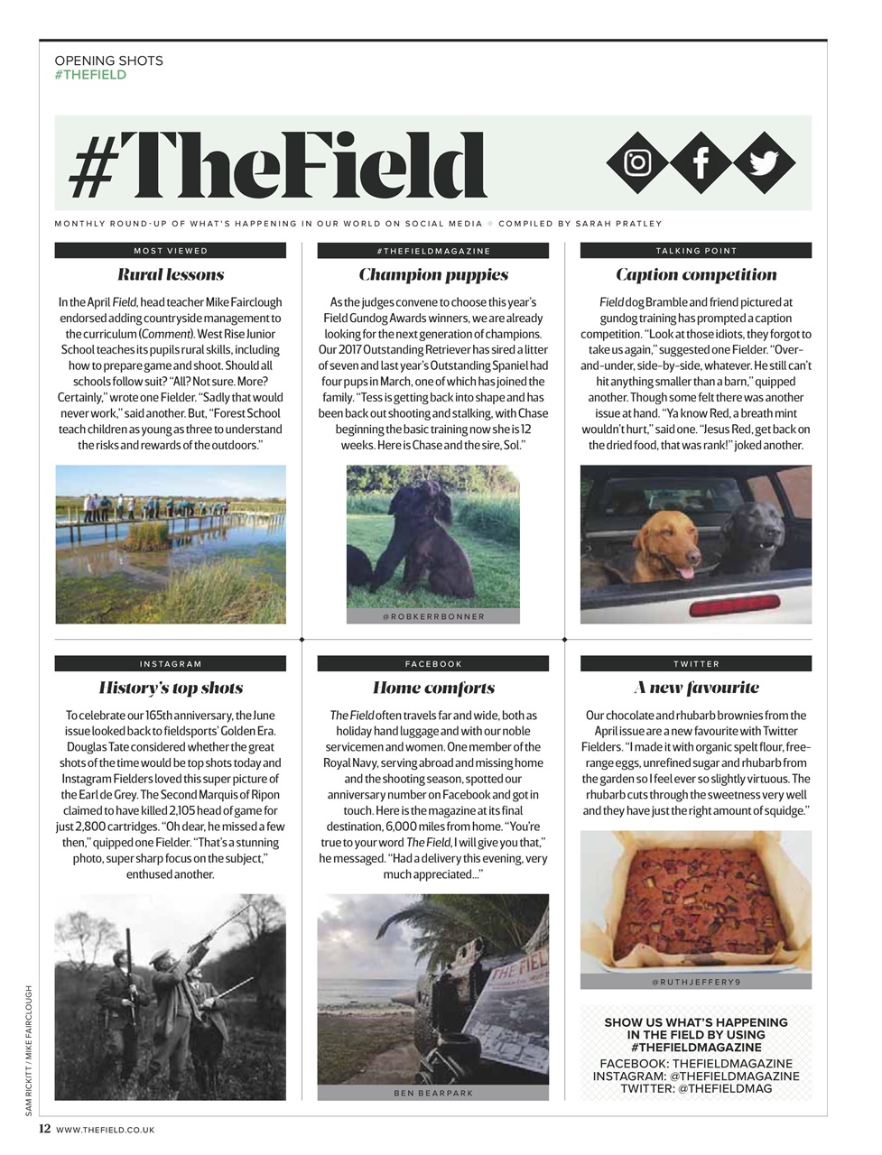 The Field Preview Pages