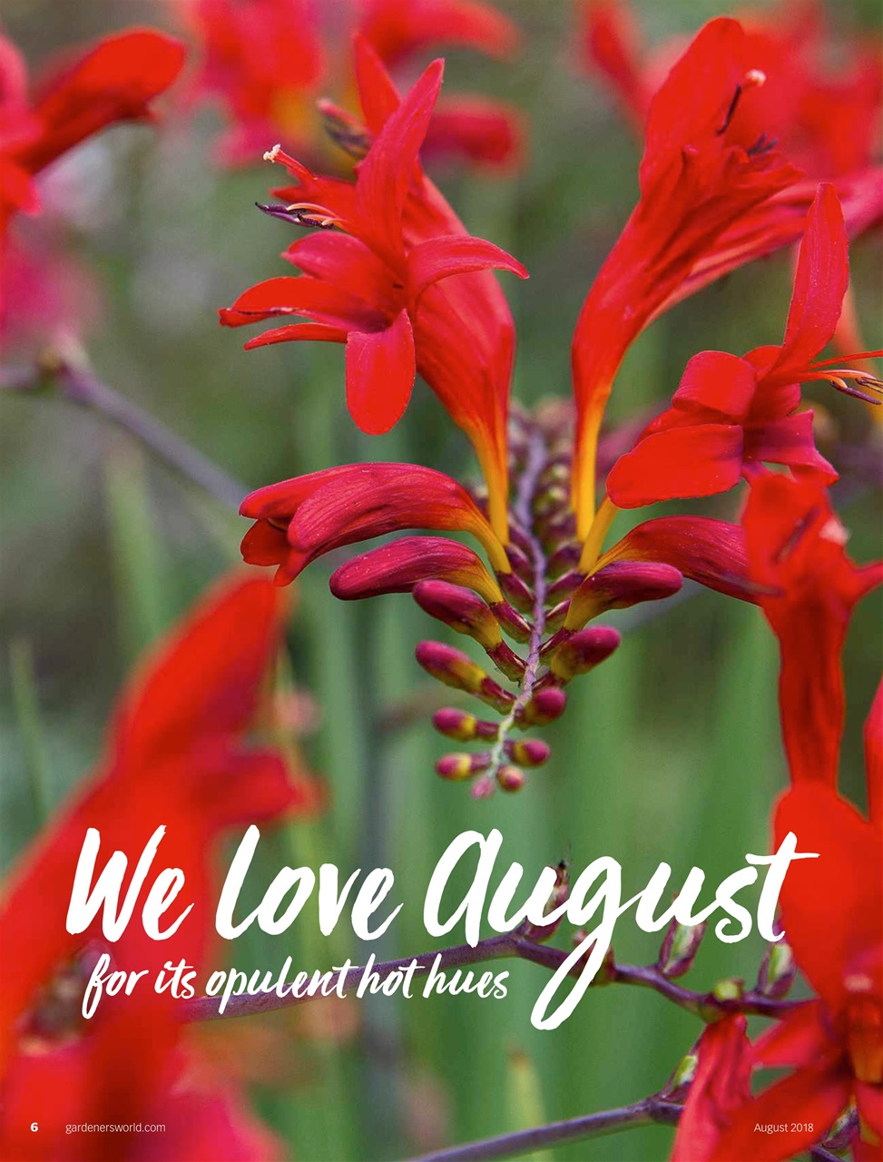 BBC Gardeners’ World Magazine Preview Pages