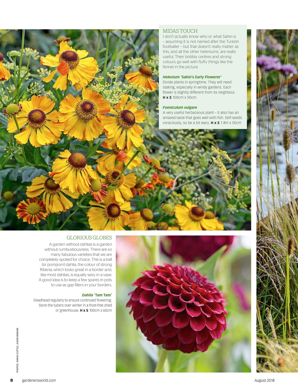 BBC Gardeners’ World Magazine Preview Pages