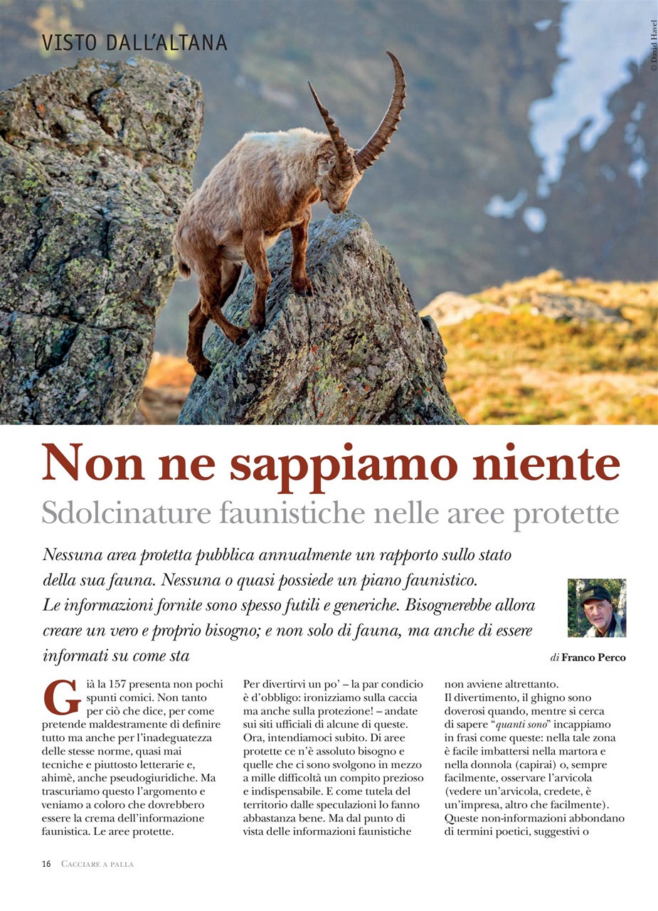Caccia Magazine Preview Pages