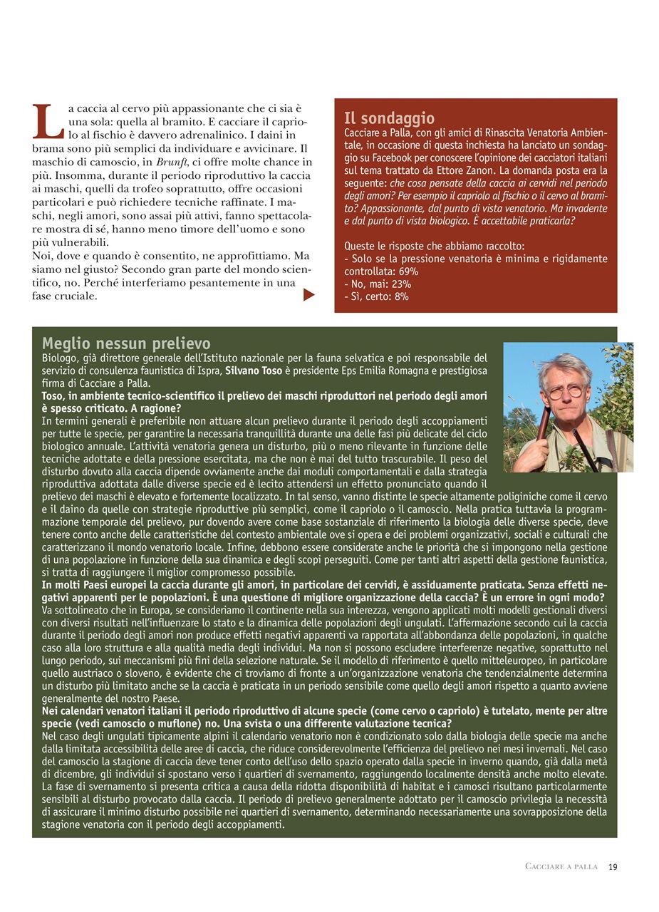 Caccia Magazine Preview Pages