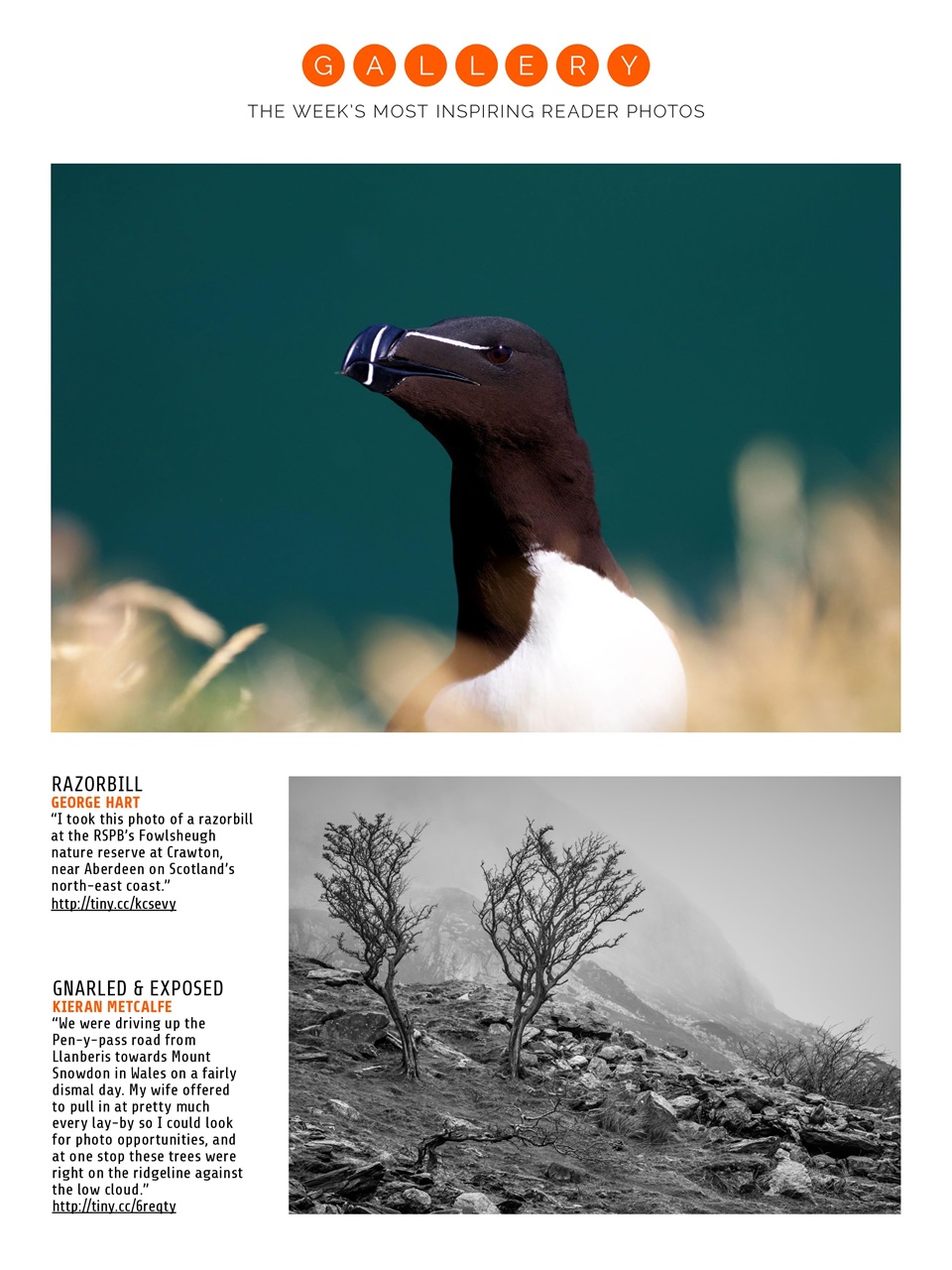 Photography Week Preview Pages