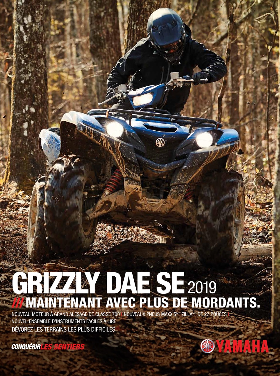 Quadnet Preview Pages