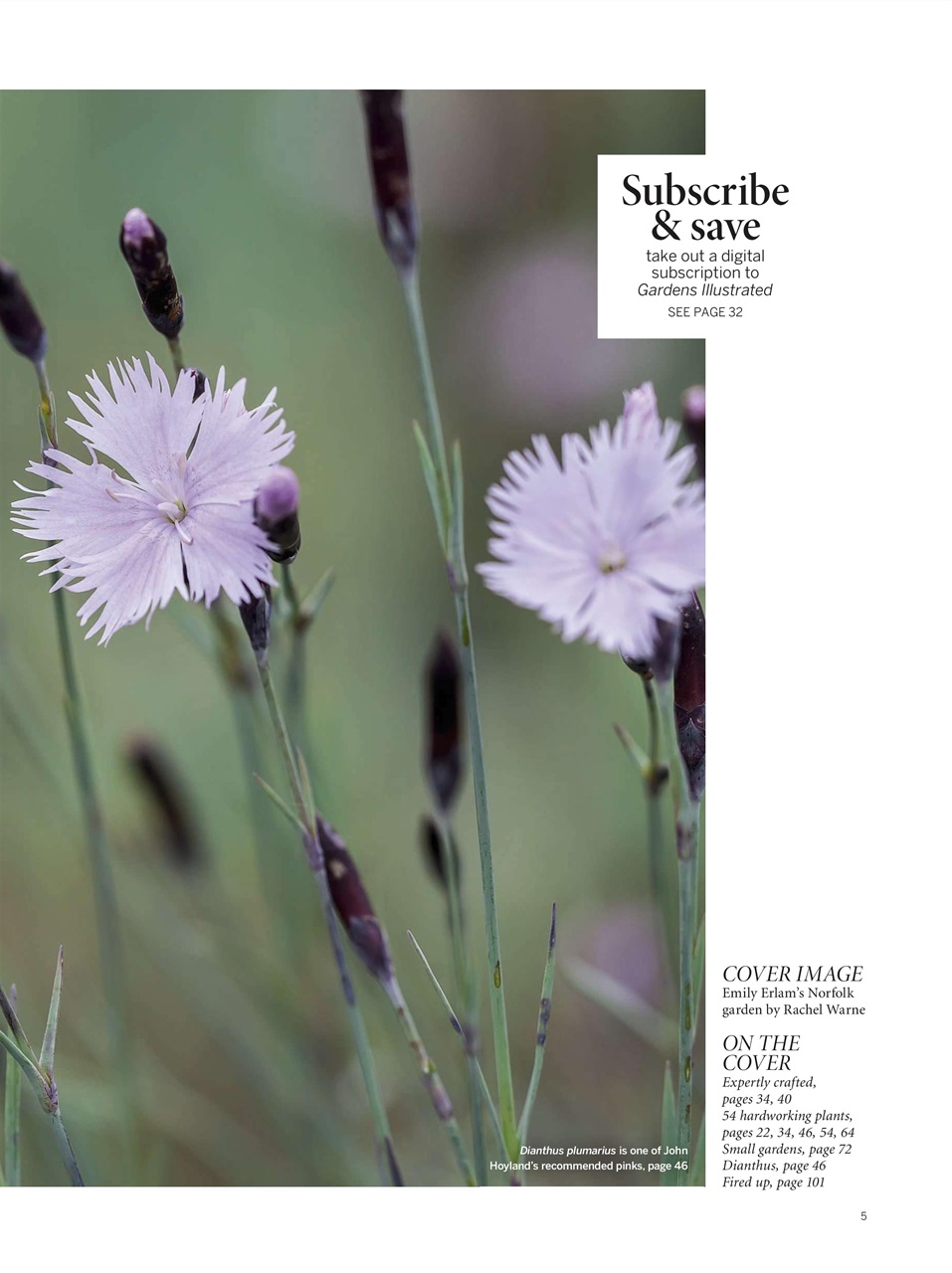 Gardens Illustrated Preview Pages