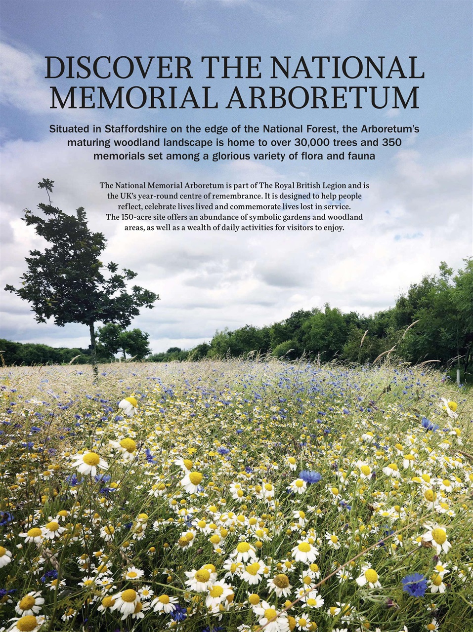 Gardens Illustrated Preview Pages