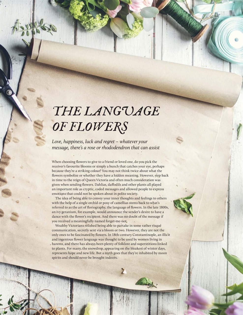 Breathe Preview Pages