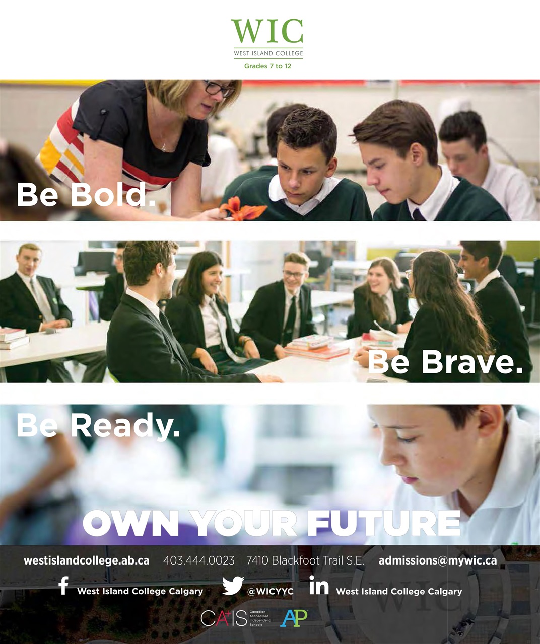 Avenue Calgary Preview Pages