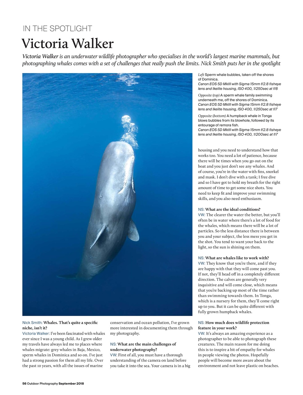 Outdoor Photography Preview Pages