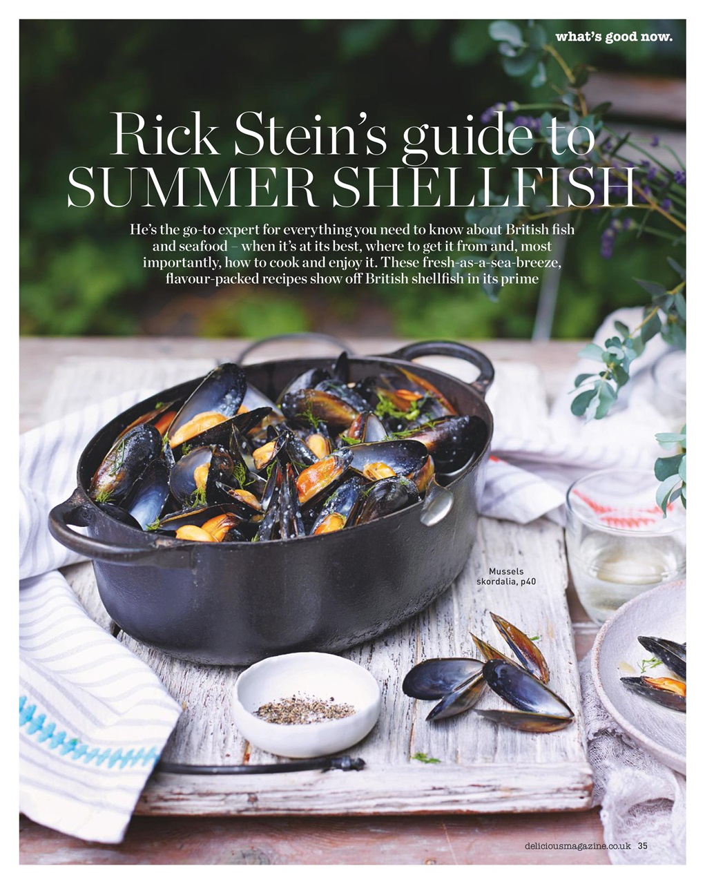 delicious. Magazine Preview Pages