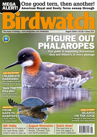 Birdwatch Magazine issue August 2018