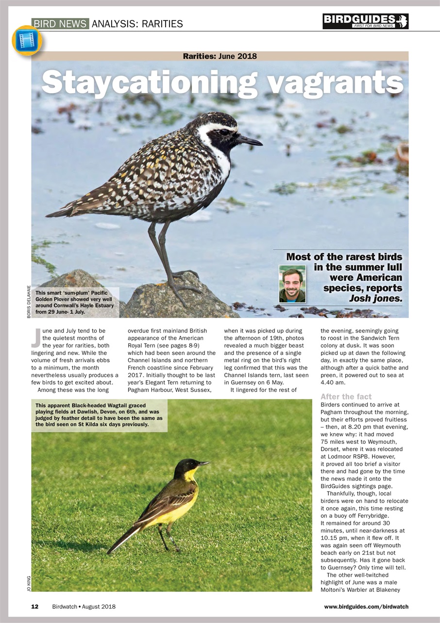 Birdwatch Magazine Preview Pages