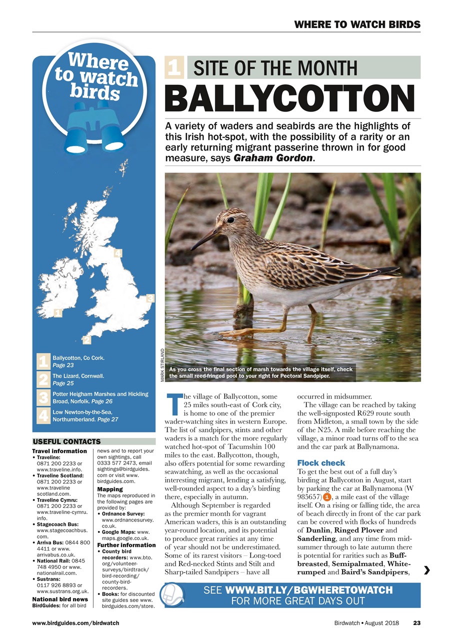 Birdwatch Magazine Preview Pages
