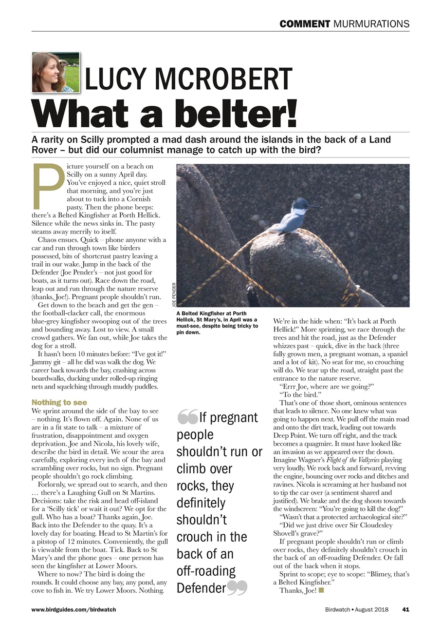 Birdwatch Magazine Preview Pages
