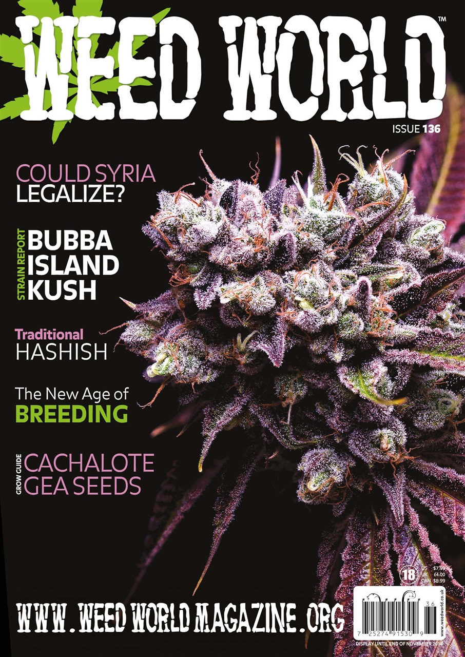 Weed World Preview Pages
