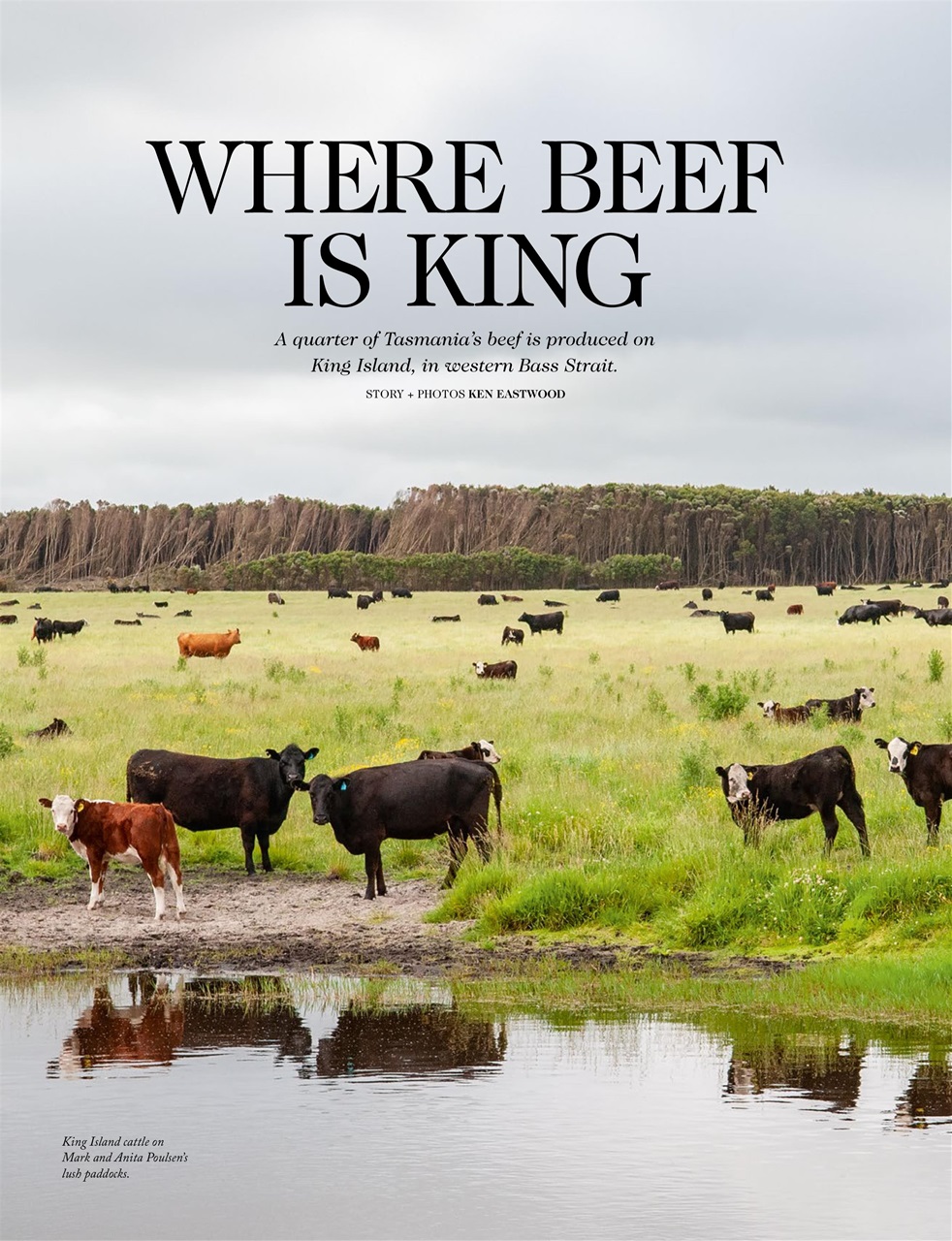 OUTBACK Magazine Preview Pages