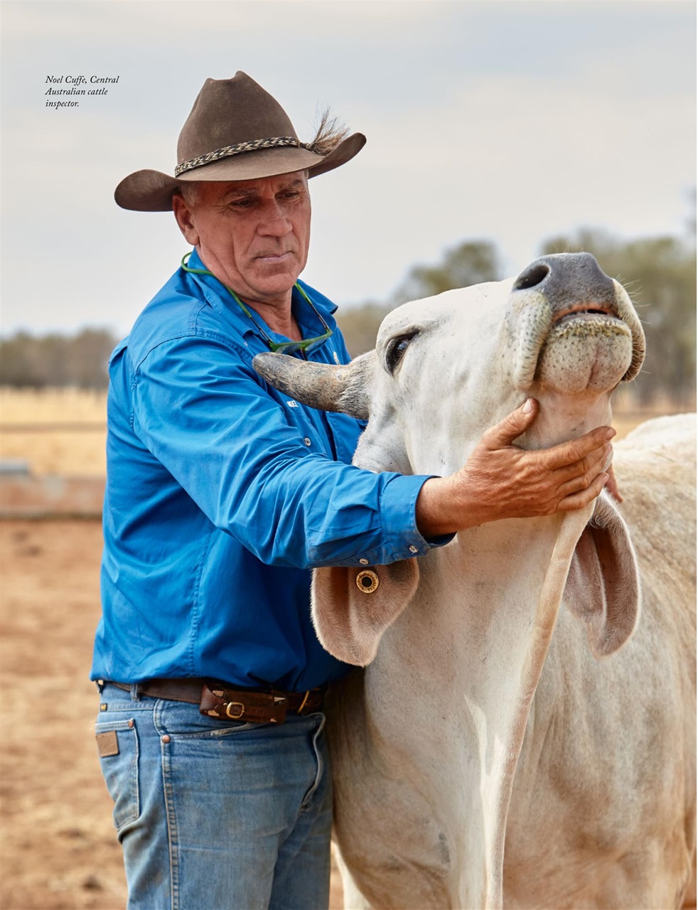 OUTBACK Magazine Preview Pages