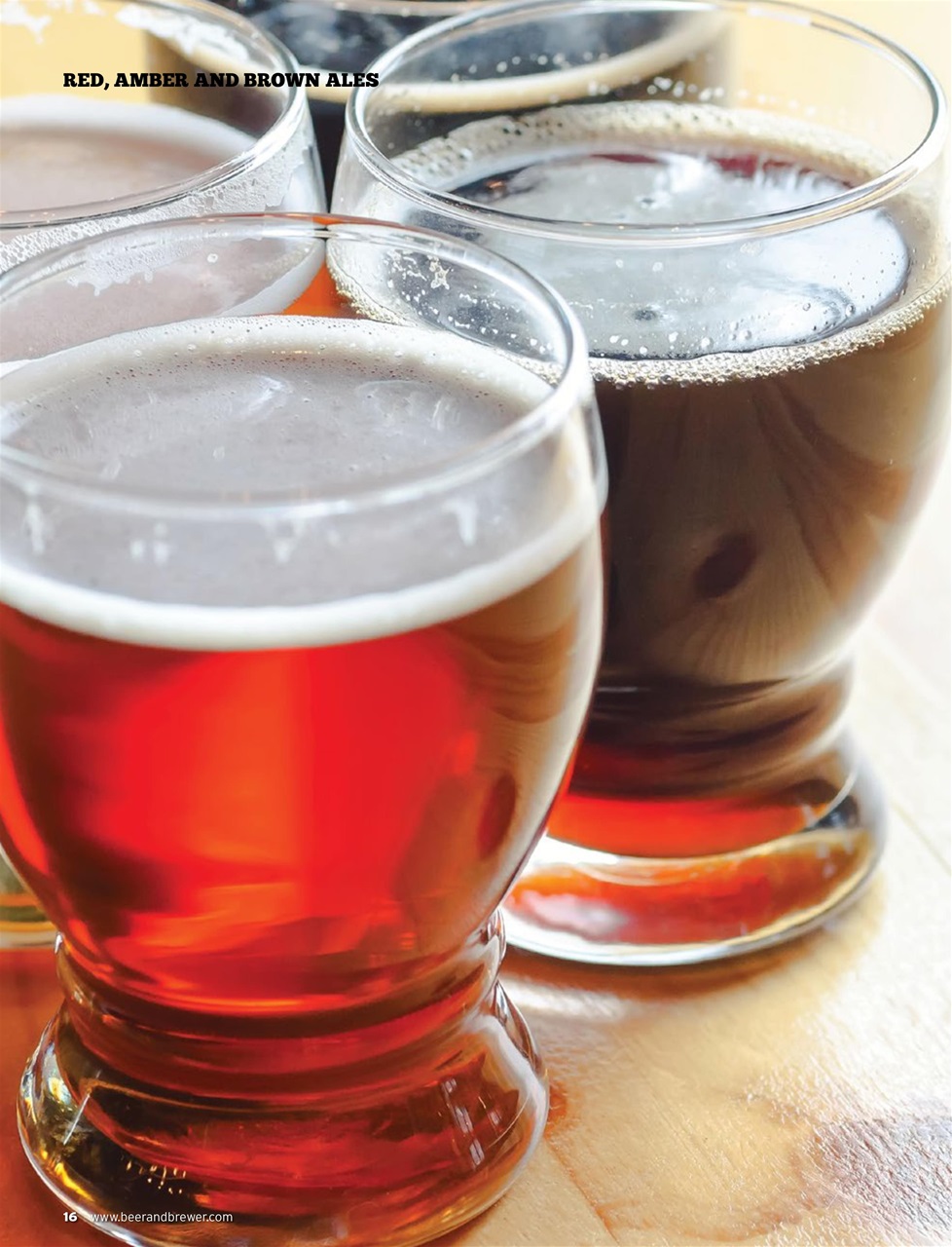 Beer and Brewer Preview Pages
