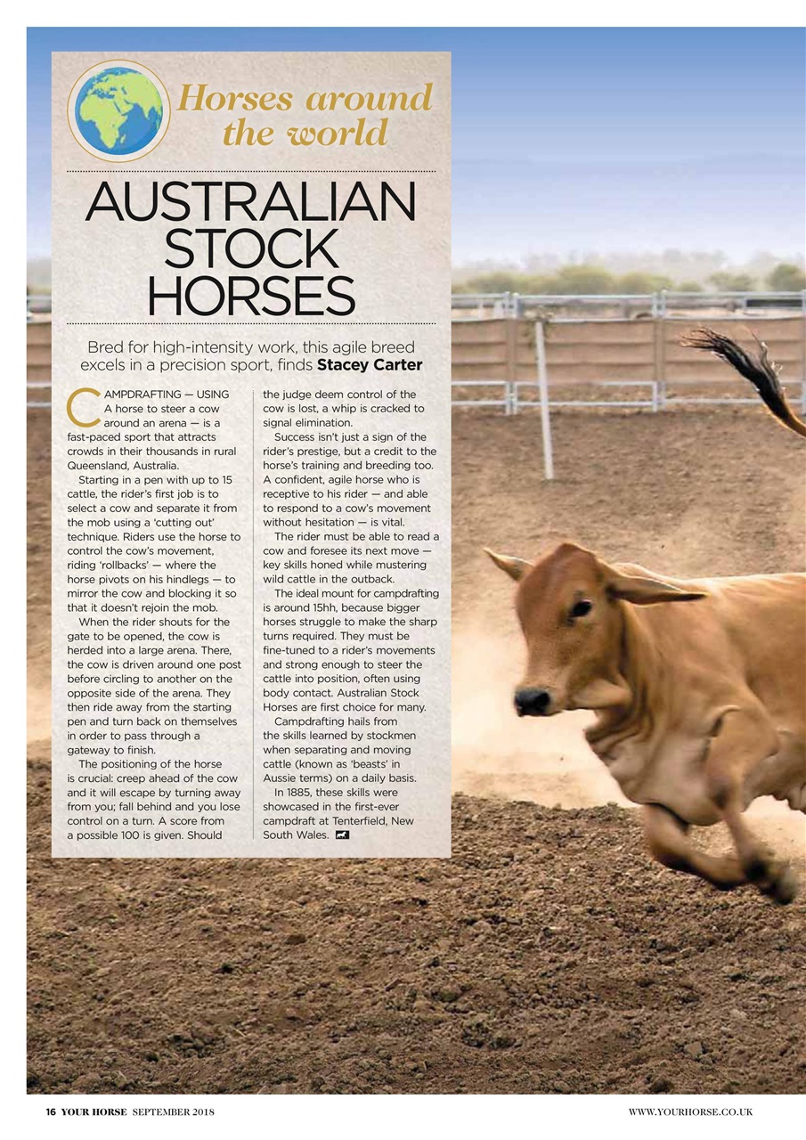 Your Horse Preview Pages