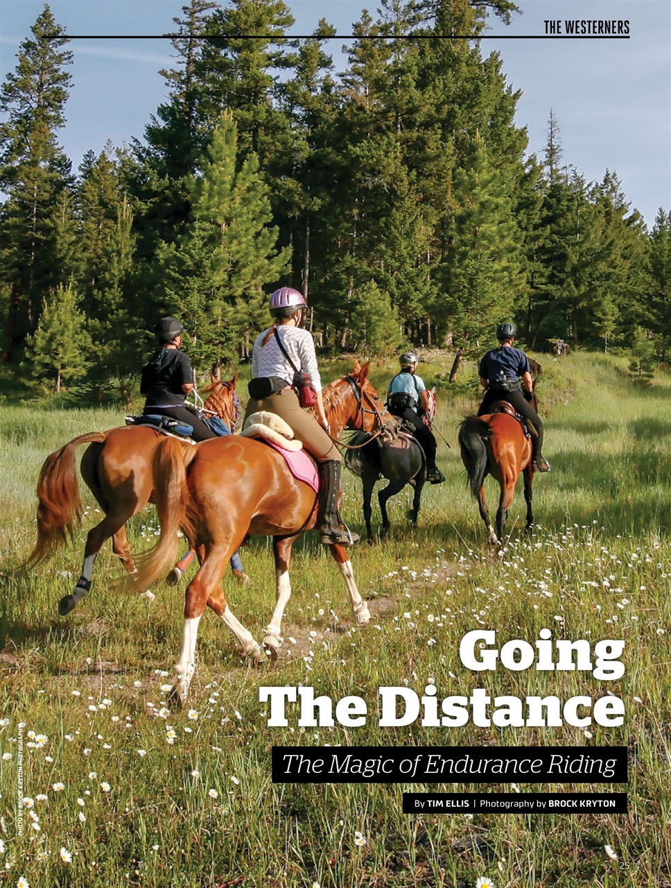 Canadian Cowboy Country Preview Pages